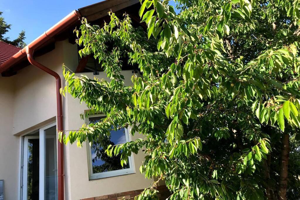 'New' Sunkissed Villa On The Old Hill Balatonalmadi Exterior photo